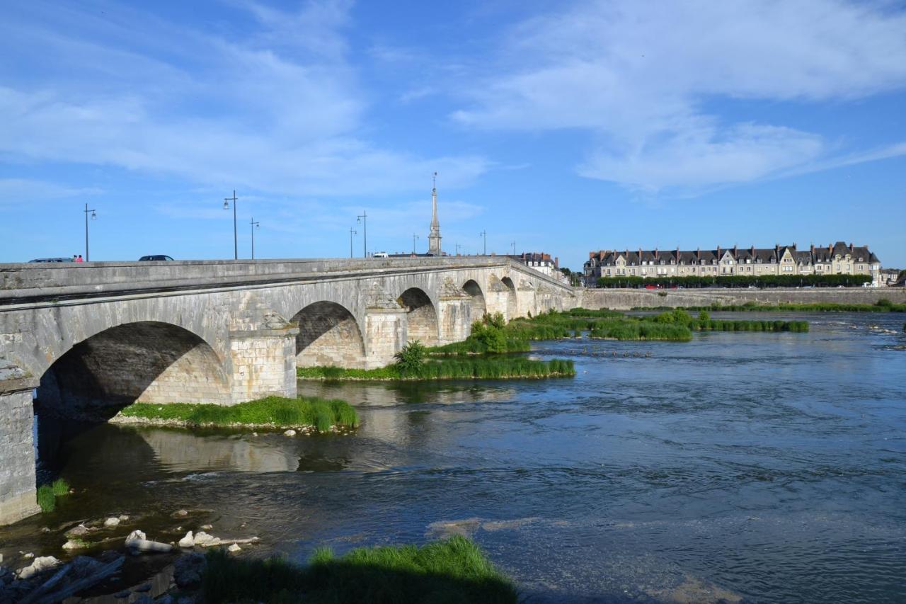 Entre Loire & Chateau - Vue Exceptionnelle A Блоа Екстериор снимка